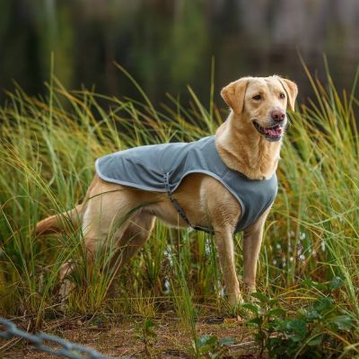 Koiran viilennystakki Rukka (S)