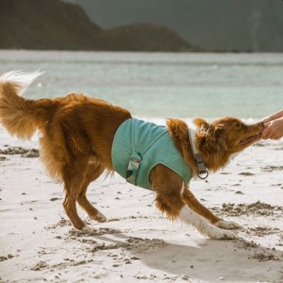 Hurtta viilennysliivi, minttu (85-95 cm)