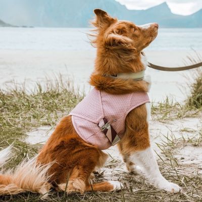 Koirien viilennysliivi Hurtta Cooling Wrap, pinkki (40-50 cm)