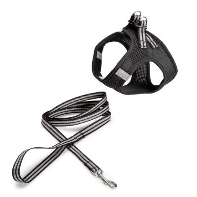 Kissan valjaat ja talutin Basic Sporty (L)