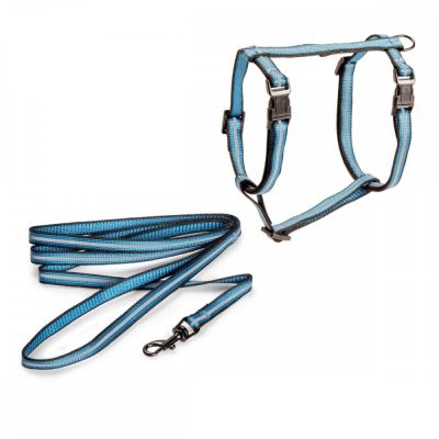 Kissan valjassetti Basic Reflective (Sininen)