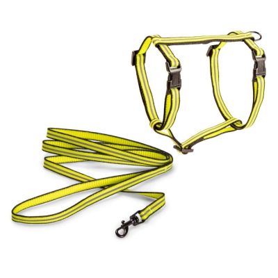 Kissan valjassetti Basic Reflective (Keltainen)