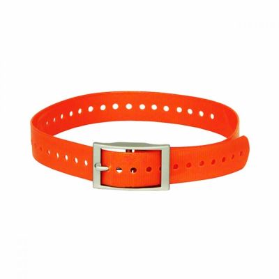 MiniFinder koiran panta 80 cm x 2,5 cm