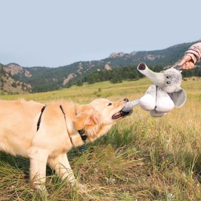 KONG Stretchezz Legz Norsu S