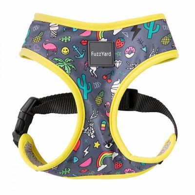 FuzzYard koiran valjaat Coachella (L)