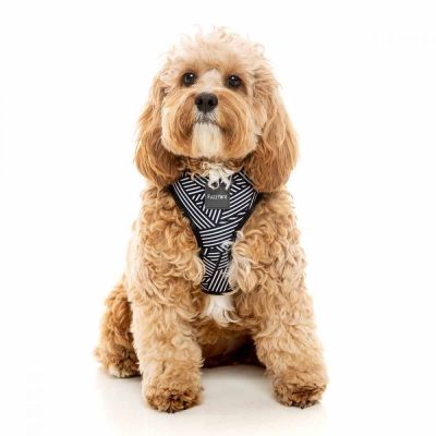 FuzzYard koiran valjaat Northcote (XL)