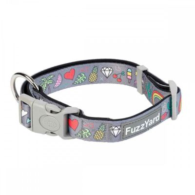 FuzzYard koiran kaulapanta Coachella (M)