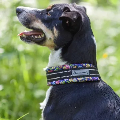 Kusse&Kutta extraleveä lycra-panta, pikkukukat (10), kuva 1 / 1