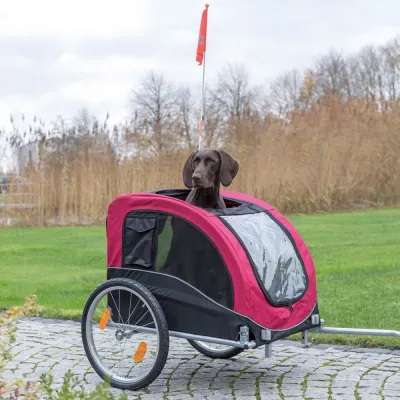 Pyörän peräkärry Trixie (L)