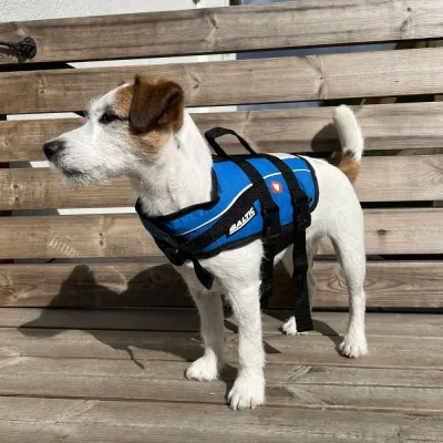 Koiran pelastusliivi Baltic Mascot, sininen (M) Koiran pelastusliivit