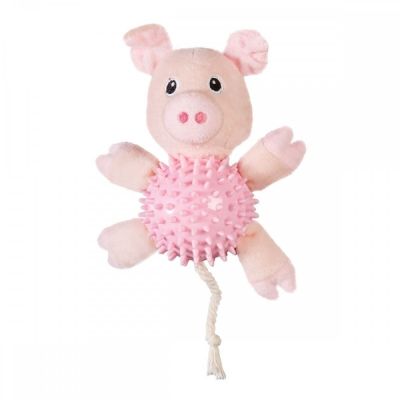 Little&Bigger Puppy Basics piikkisika