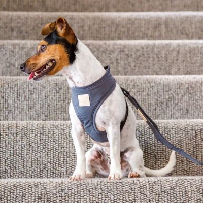 Valjaat koiralle FuzzYard Life, harmaa (XL)