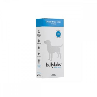 Bellylabs koirien tiineystesti