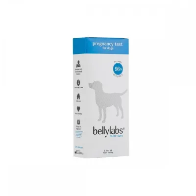 Bellylabs koirien tiineystesti