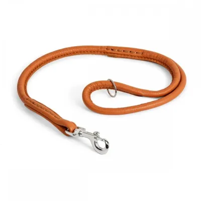 Nahkainen näyttelyhihna Show Dog, 60 cm (Vaaleanruskea), kuva 1 / 1