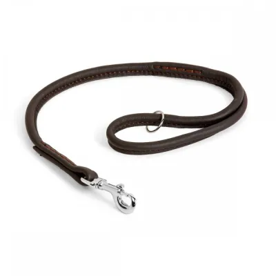 Nahkainen näyttelyhihna Show Dog, 60 cm (Ruskea), kuva 1 / 1