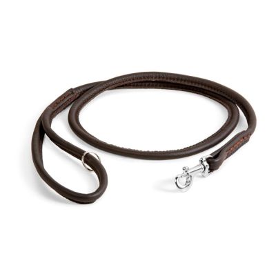 Nahkainen näyttelytalutin Show Dog, 120 cm (Ruskea)