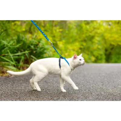 PetSafe Easy Walk kissanvaljassetti sininen (S)