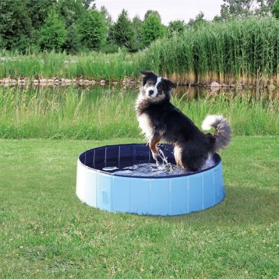 Trixie-uima-allas koiralle (80 cm)