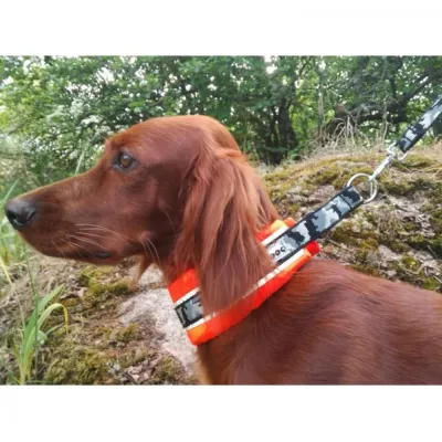 Puolikiristävä leveä panta Kardog Hilma, oranssi (27 cm)