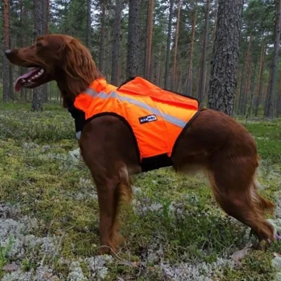 GPS-huomioliivi Inari, Kardog (L)