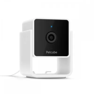Petcube Cam lemmikkikamera kotiin, kuva 1 / 1