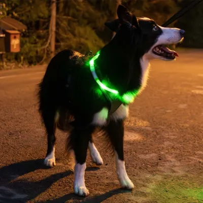 Trixie USB-ladattava valopanta, silikoni (Vihreä), kuva 1 / 1