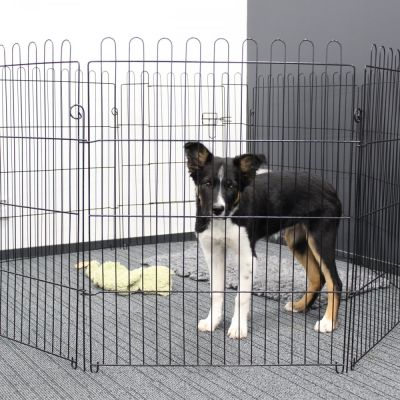 PetEasy Pentuaitaus Pet Easy (63 x 76 cm x 8 kpl)