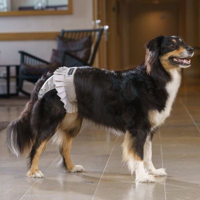 FinNero Ballerina juoksuhousut harmaa (XL)