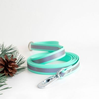 Tyylivoitto Shine Eazy -heijastintalutin, minttu (2 m)