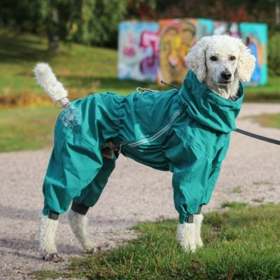 Hurtta Mudventure ECO -koiran sadehaalari, riikinkukko (50M)