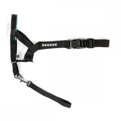 Kuonopanta Pro Dog Control (3), kuva 1 / 1