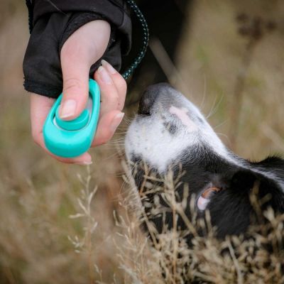 Pro Dog Multi naksutin äänisäädöllä