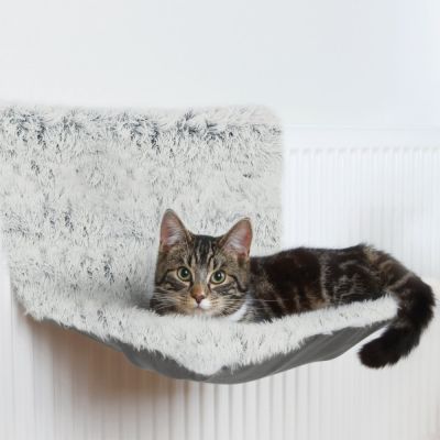 Trixie patteripeti Harvey