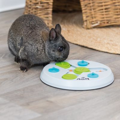 Trixie pieneläimen aktivointilelu Slide & Fun