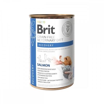 Brit Veterinary Diet Dog + Cat Recovery Grain Free 400 g