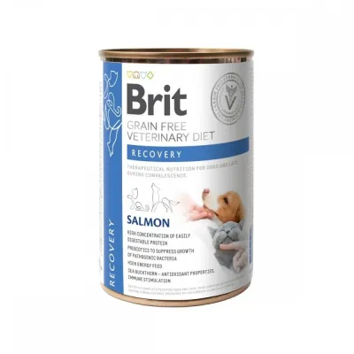 Brit Veterinary Diet Dog + Cat Recovery Grain Free 400 g, kuva 1 / 1