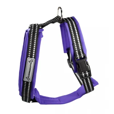 Kusse&Kutta-koiran valjaat softshell-pehmusteella, violetti (5), kuva 1 / 1