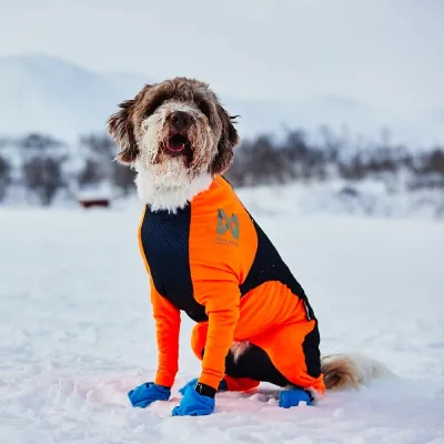 Non-stop Dogwear Non-Stop Protector Snow haalari, urosmalli (M), kuva 1 / 1