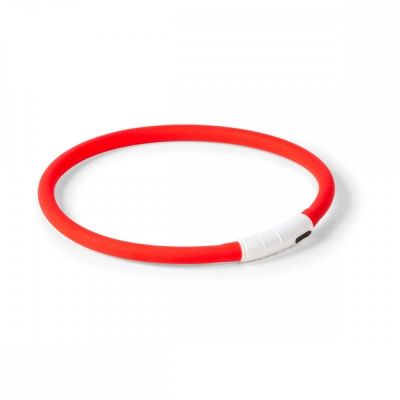 Koiran valopanta Little & Bigger Light 55 cm (Punainen)