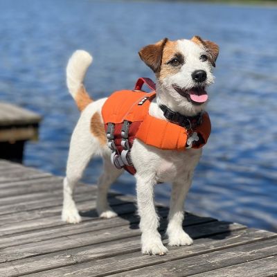 Pelastusliivit Hurtta Life Savior ECO, tyrni (15-20 kg) Koiran pelastusliivit