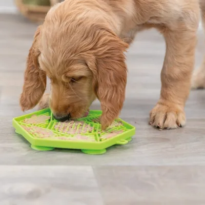 Nuolumatto Trixie Lick'n'Snack, 17cm, kuva 1 / 1
