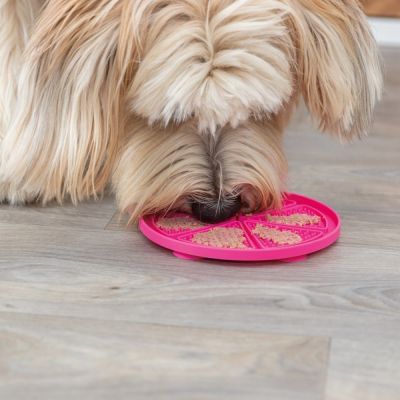 Koiran nuolumatto Trixie Lick'n'Snack, ø 18 cm