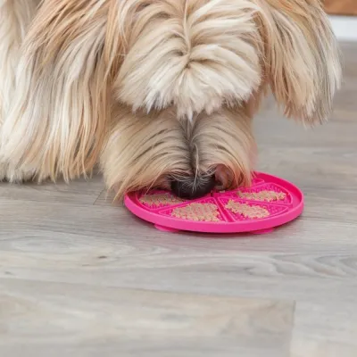Koiran nuolumatto Trixie Lick'n'Snack, ø 18 cm, kuva 1 / 1
