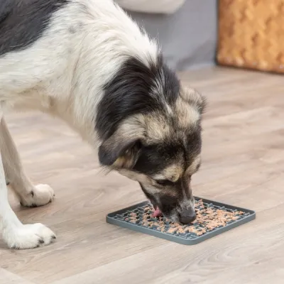 Nuolumatto Trixie Lick'n'Snack, 20 cm, kuva 1 / 1