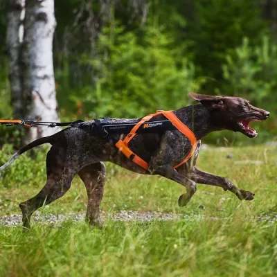 Non-stop Dogwear Non-Stop Freemotion valjaat 5.0 musta/oranssi (4), kuva 1 / 1