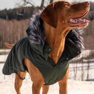 Rukka Frostbiter parka, tummanvihreä (55 cm), kuva 1 / 1