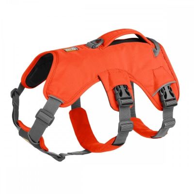 Ruffwear Web Master valjaat koiralle, oranssi (S)