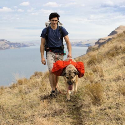 Ruffwear koiran reppu Palisades Pack, punainen (M)