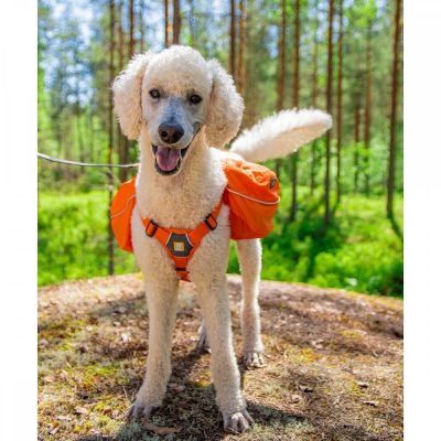 Ruffwear Approach Pack reppu koiralle, oranssi (S)